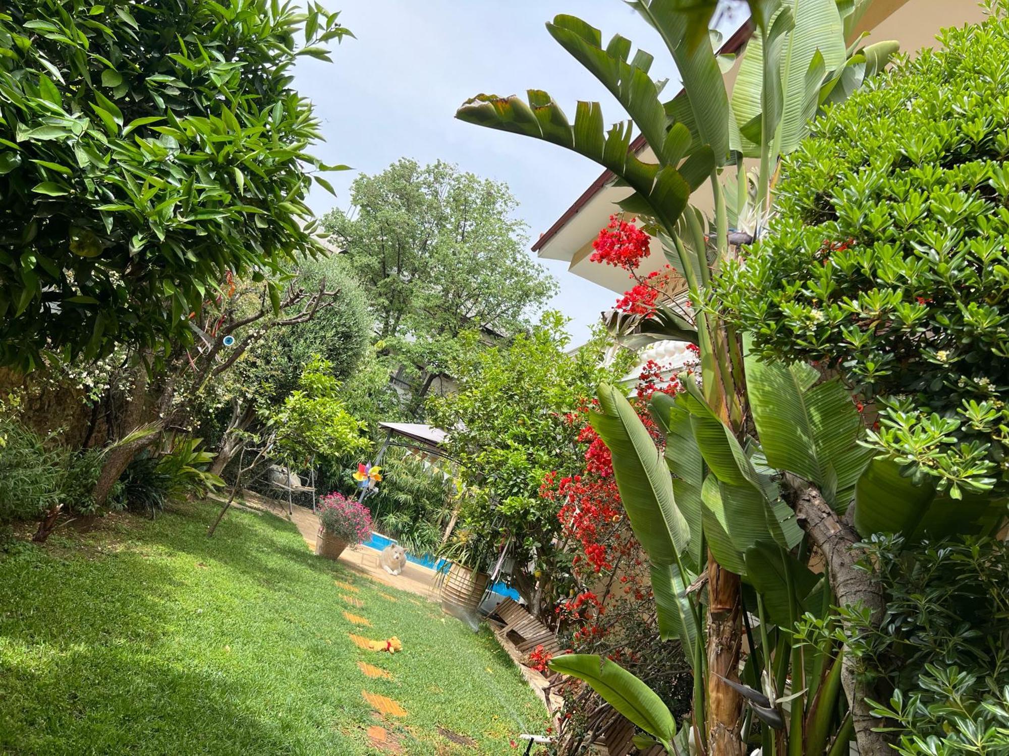 Pj Garden House Ateny