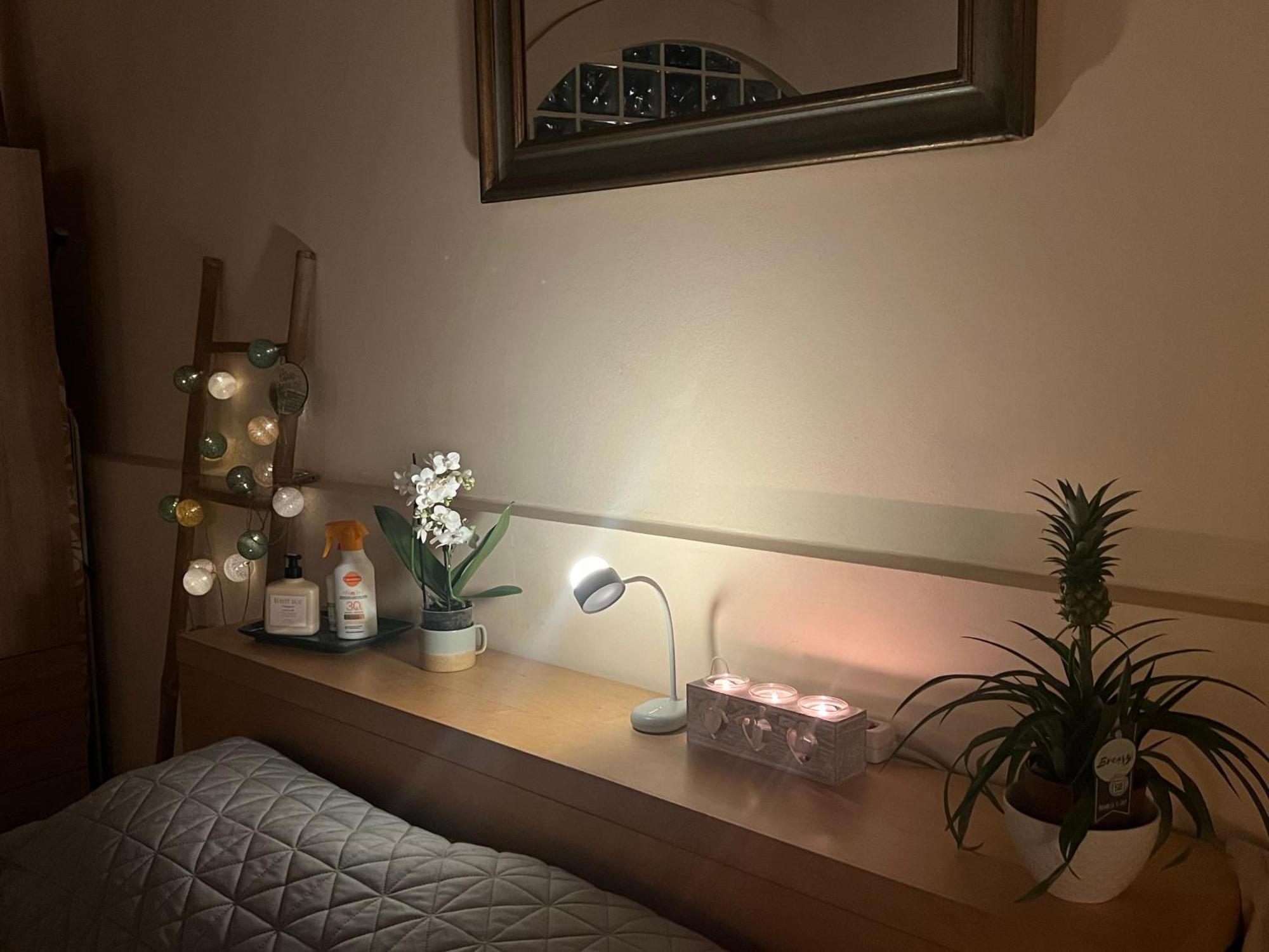 Apartament Pj Garden House *